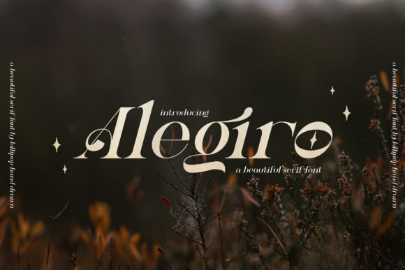 Alegiro: A Serif Font for Elegant Design