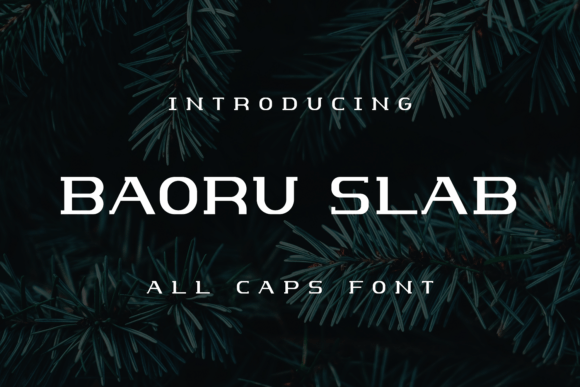 Baoru Slab Font for Creative Projects