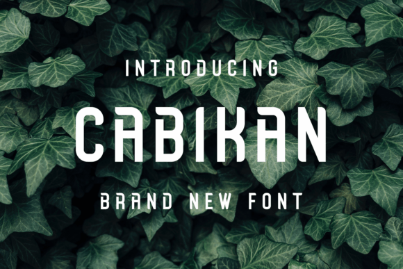 Cabikan: A Modern Font for Business Success