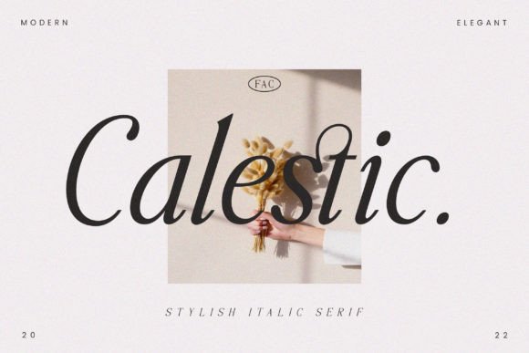 Calestic: Modern Serif Typeface