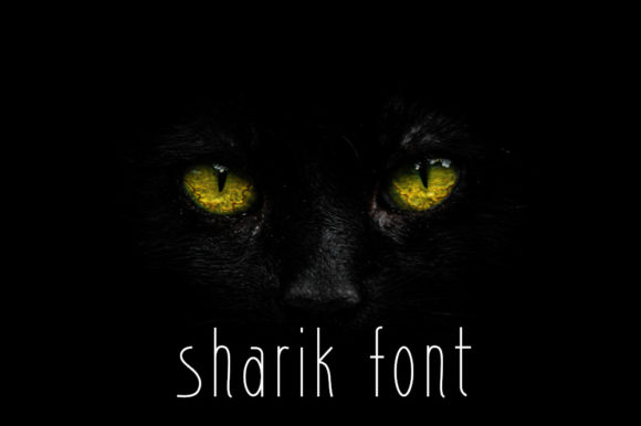 Sharik: A Font for Clear Campaigns