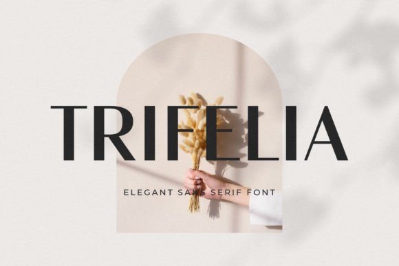 Trifelia: A Modern Font for Creative Makers