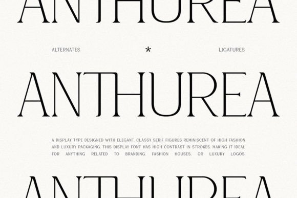 Upgrade Your Brand With Anthurea